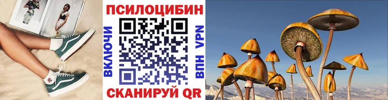 ссылка на мегу зеркало  Таганрог  Галлюциногенные грибы Psilocybine cubensis 