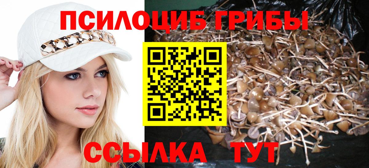 Псилоцибиновые грибы GOLDEN TEACHER Таганрог