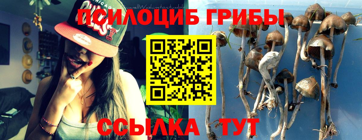 Таганрог  Галлюциногенные грибы мухоморы  Вход с VPN 