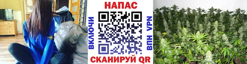 МАРИХУАНА планчик  Таганрог 